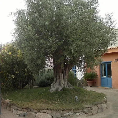 S'acqua Sassa 3*