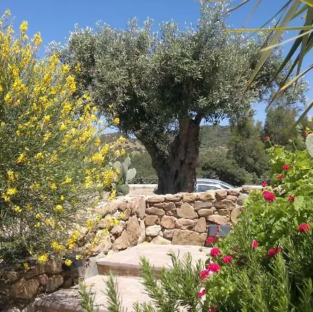 Ξενοδοχείο S'acqua Sassa 3*